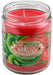 Pet Odor Exterminator Candle, Kiwi Twisted Strawberry -   