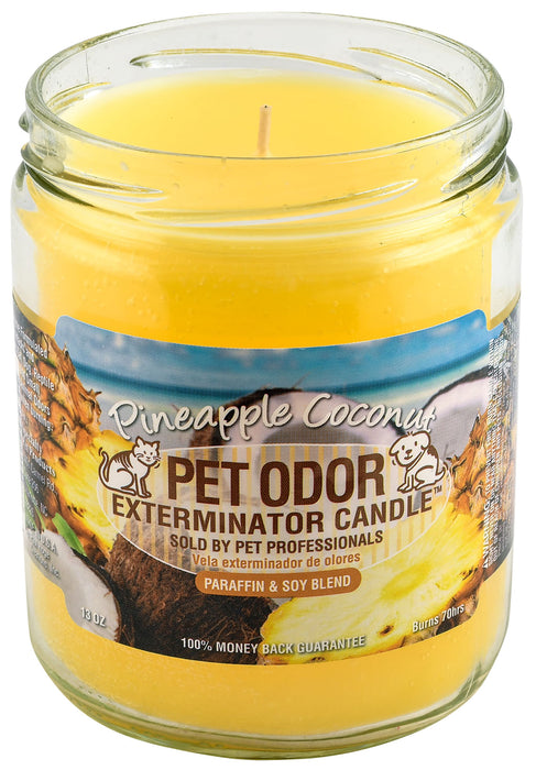 Pet Odor Exterminator Candle, Pineapple Coconut, 13 oz -   