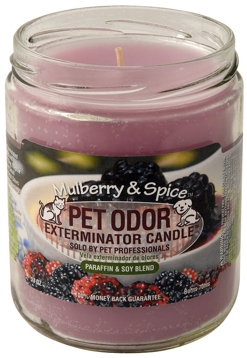 Pet Odor Exterminator Candle, Mulberry & Spice, 13 oz -   