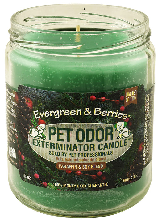 Pet Odor Exterminator Candle, Evergreen & Berries -   