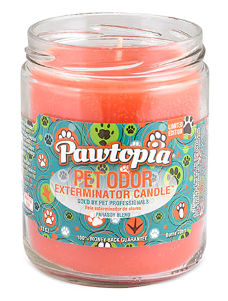 Pet Odor Exterminator Candle, Pawtopia, 13 oz -   