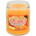 Pet Odor Exterminator Candle, Mango Pineapple Smoothie, 13 oz - 13oz SPTF9 Mango Pineapple Smoothie