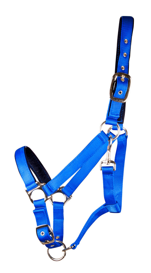 Lined Adjustable Nylon Halter for Medium Horse (600-900 lb) - Royal Blue  