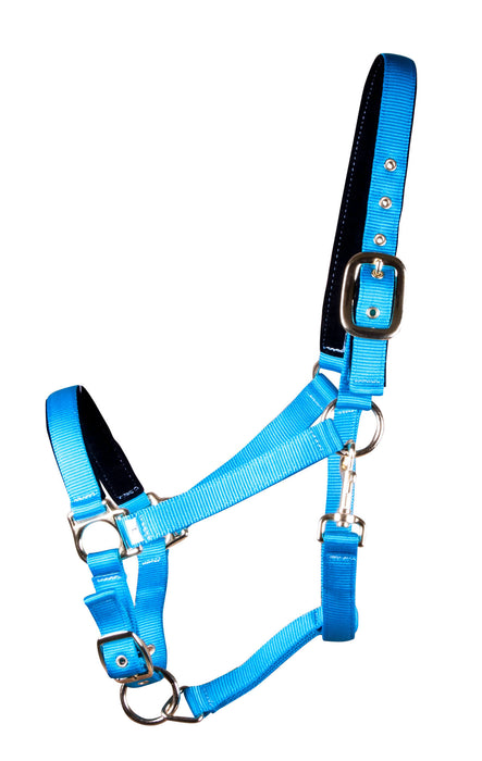 Lined Adjustable Nylon Halter for Medium Horse (600-900 lb) - Turquoise  