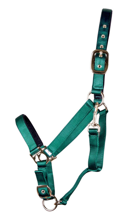 Lined Adjustable Nylon Halter for Medium Horse (600-900 lb) - Dark Green  