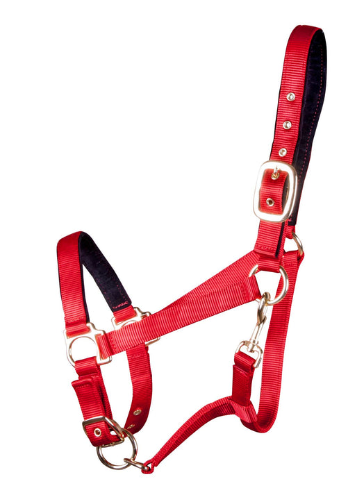 Lined Adjustable Nylon Halter for Medium Horse (600-900 lb) - Red  