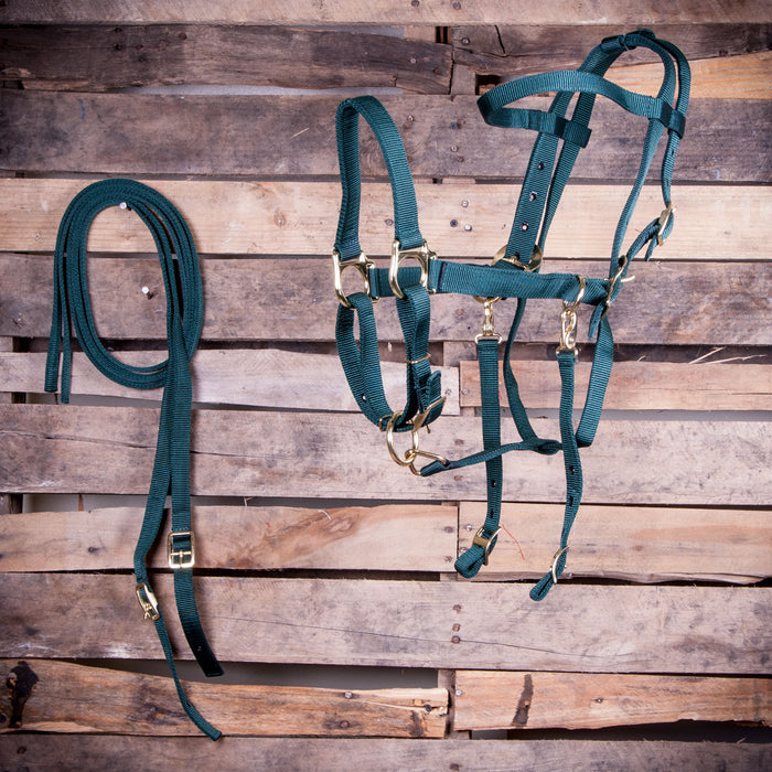 Jeffers Nylon Combination Halter Bridle With Reins - Dark Green  