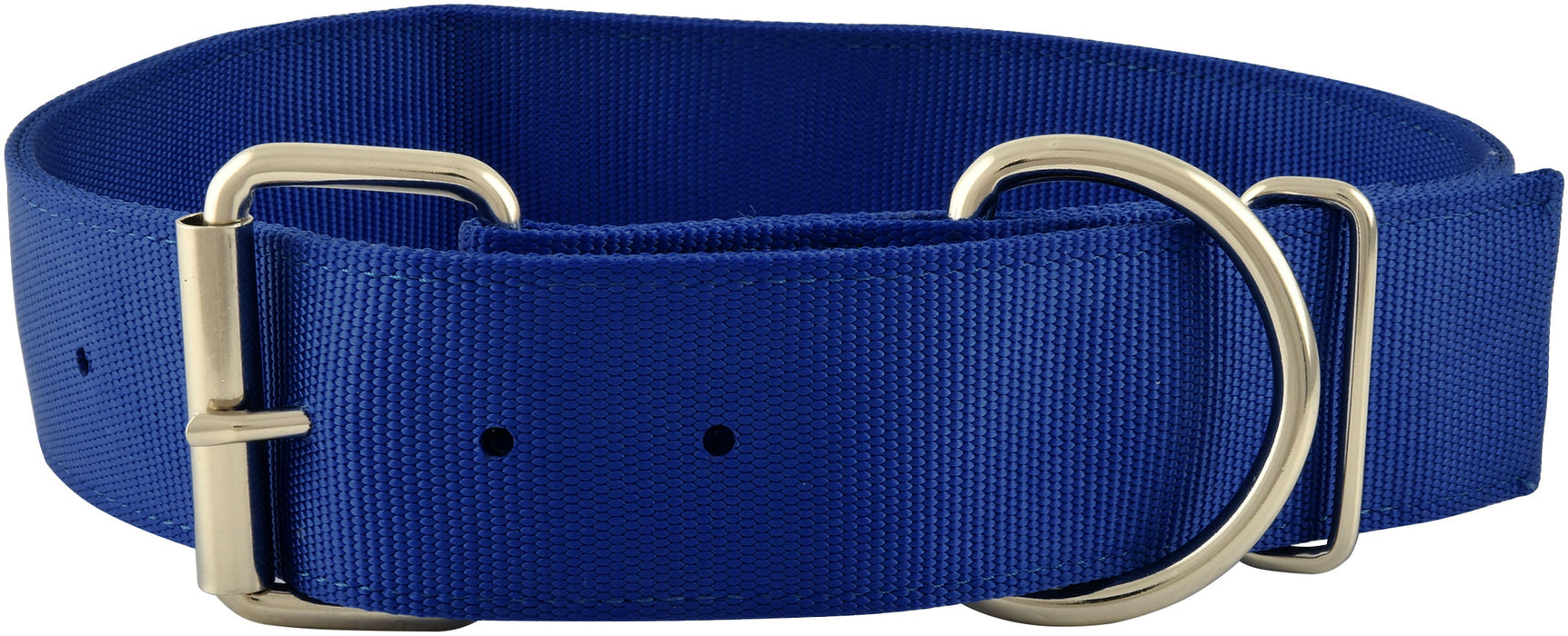 2" Big Dog Collars, 16.5"-21"L - Royal Blue  