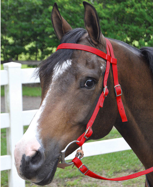 Jeffers Western Nylon Horse Bridle w/ Split Reins - Red  