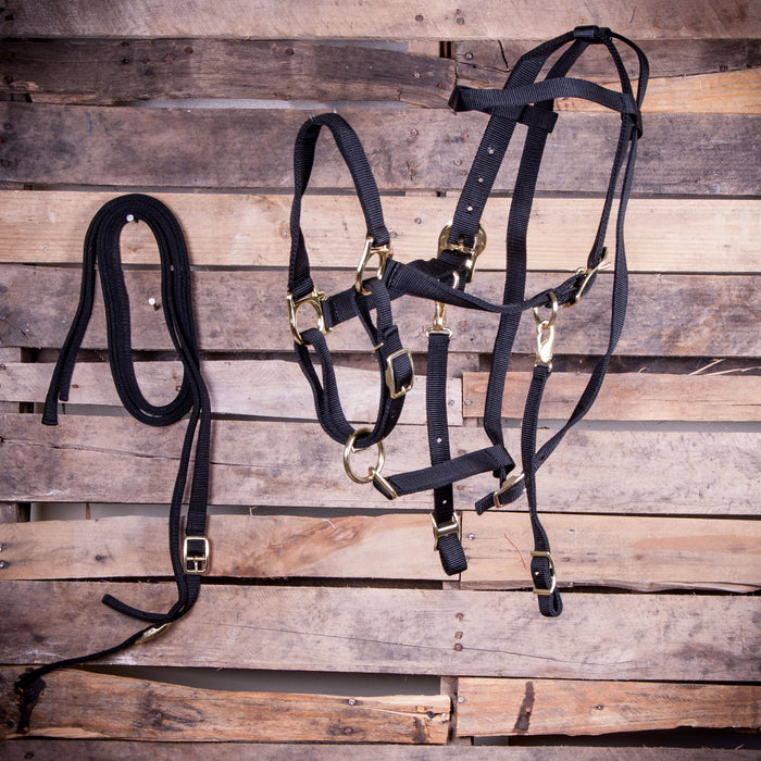 Jeffers Nylon Combination Halter Bridle With Reins - Black  