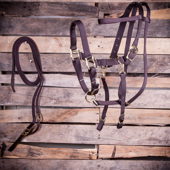 Jeffers Nylon Combination Halter Bridle With Reins - Dark Brown  