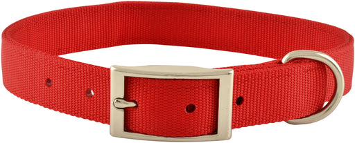 1" Nylon Dog Collar, 22"L - Apple  