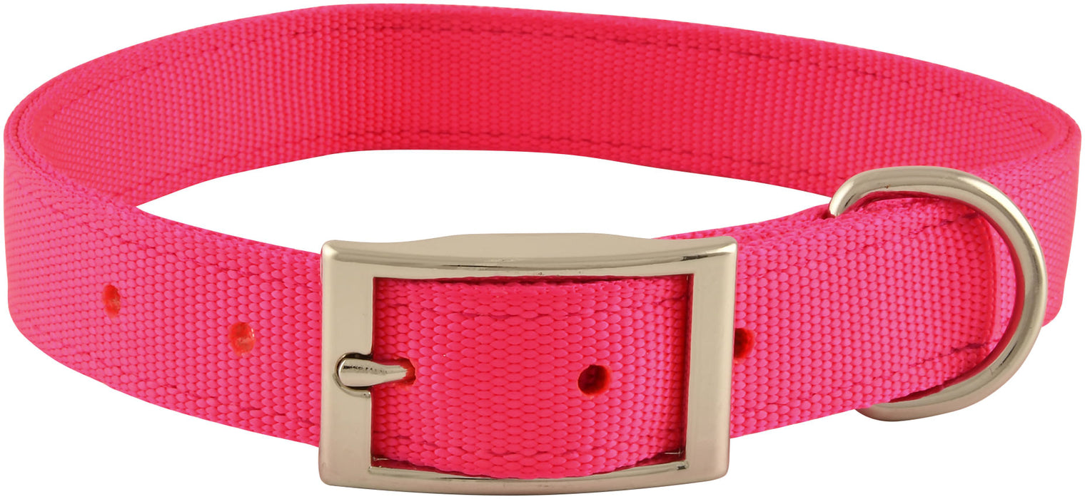 1" Nylon Dog Collar, 22"L - Berry  