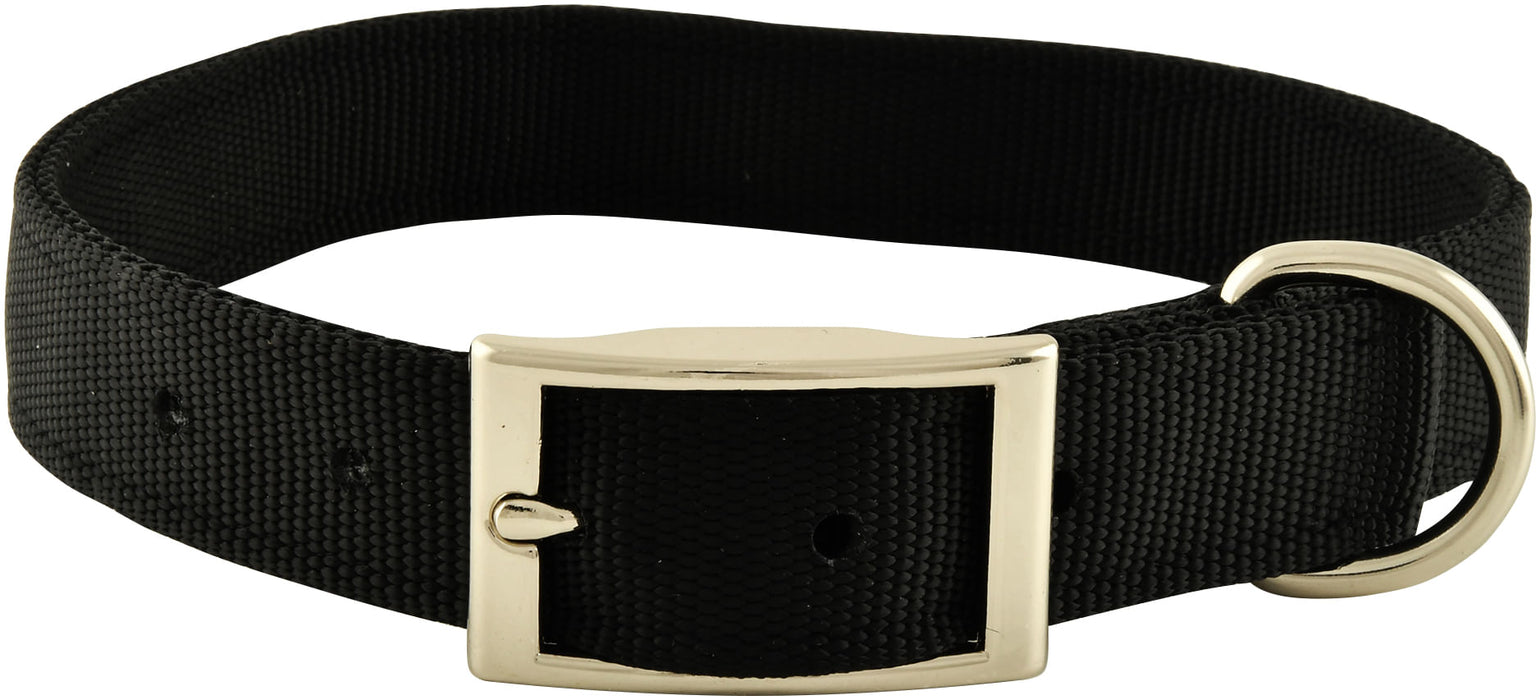 1" Nylon Dog Collar, 22"L - Black  