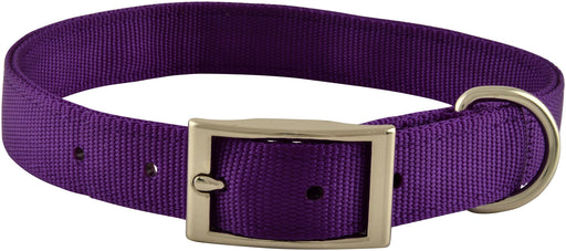 1" Nylon Dog Collar, 22"L - Purple  