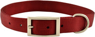 1" Nylon Dog Collar, 22"L - Red  