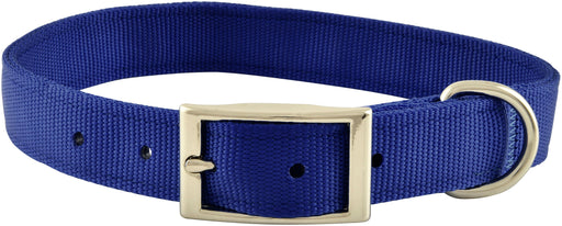 1" Nylon Dog Collar, 22"L - Royal Blue  