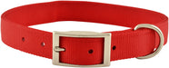 1" Nylon Dog Collar, 24"L - Apple  