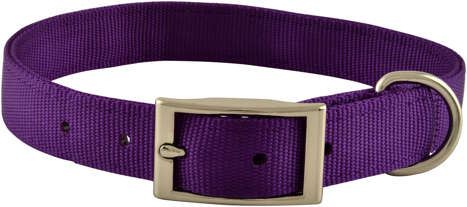 1" Nylon Dog Collar, 24"L - Purple  