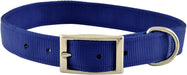 1" Nylon Dog Collar, 24"L - Royal Blue  