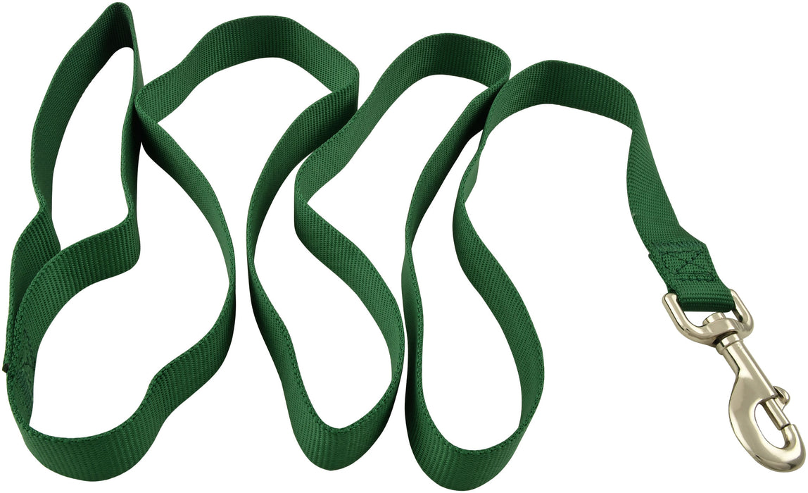 Jeffers 1" Nylon Dog Leash, 6' L - Dark Green  