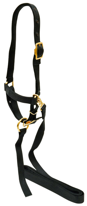 Nylon Sheep Halter, 3/4" - Black  