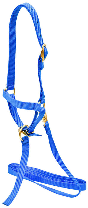 Nylon Sheep Halter, 3/4" - Royal Blue  