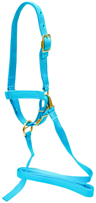 Nylon Sheep Halter, 3/4" - Turquoise  