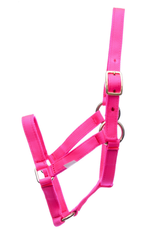 Jeffers Nylon Foal Halters, 00-200 lb - Hot Pink  