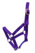 Jeffers Nylon Foal Halters, 00-200 lb - Purple  