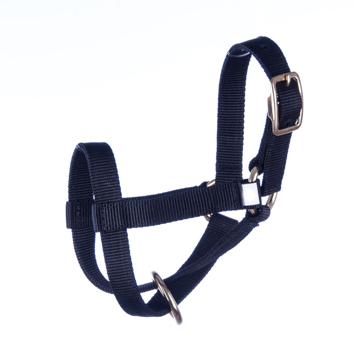 Jeffers Medium Goat Halter - Black  