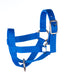 Jeffers Medium Goat Halter - Royal Blue  