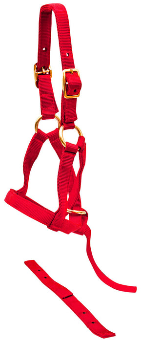 Jeffers Nylon "Grow With Me" Weanling Halter, 3/4" - Red  