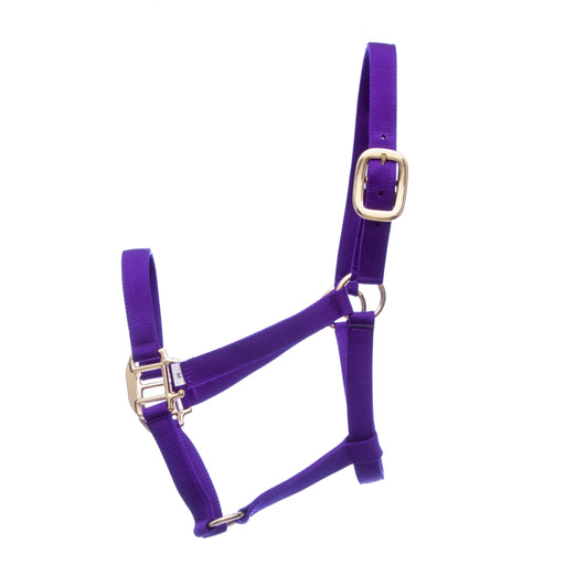 Premium Nylon Halters, Large Horse (900-1200 lb) - Purple  