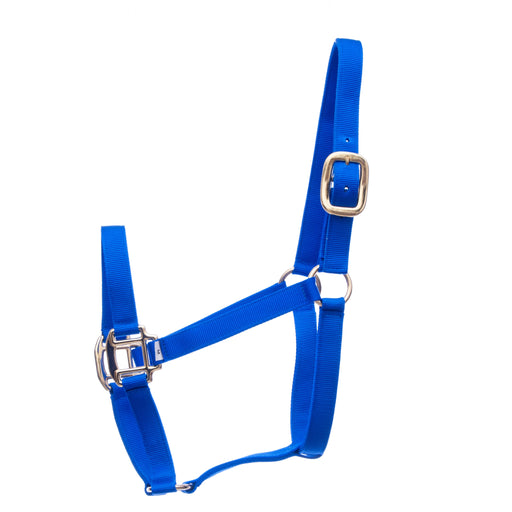 Premium Nylon Halters, Large Horse (900-1200 lb) - Royal Blue  