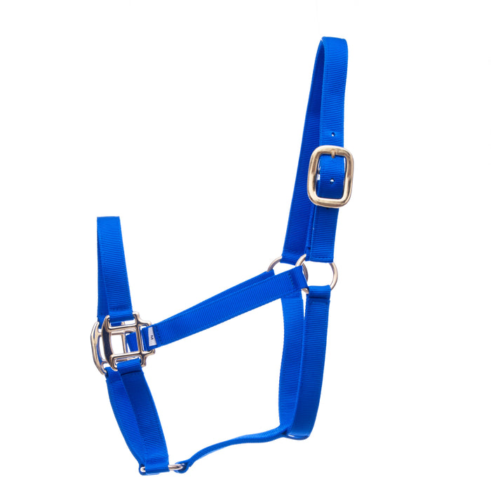 Premium Halters, Yearling, 400-600 lb (3-ply, 1") - Royal Blue  