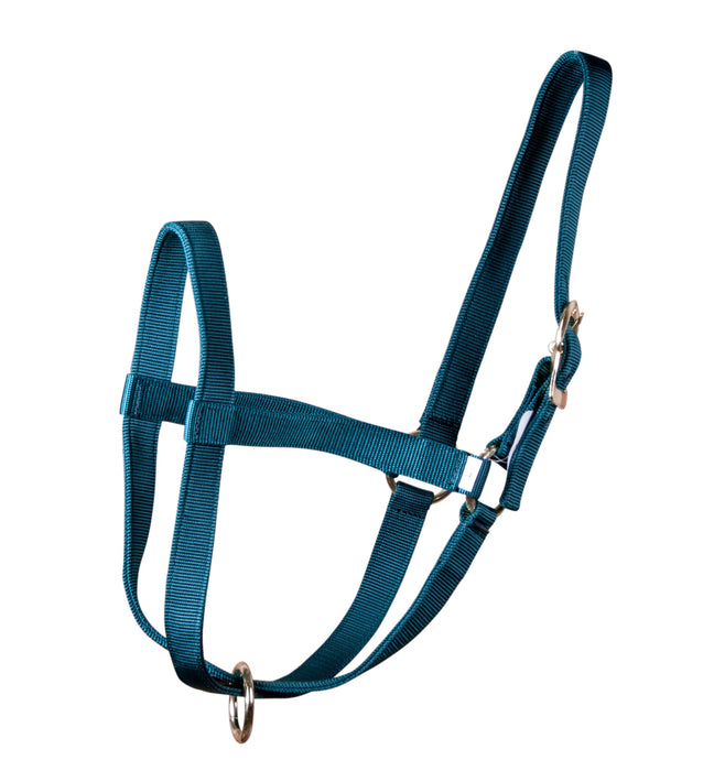 Nylon Calf Halter, (250-450 lb) - Forest Green  