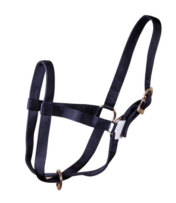 Nylon Calf Halter, (250-450 lb) - Black  