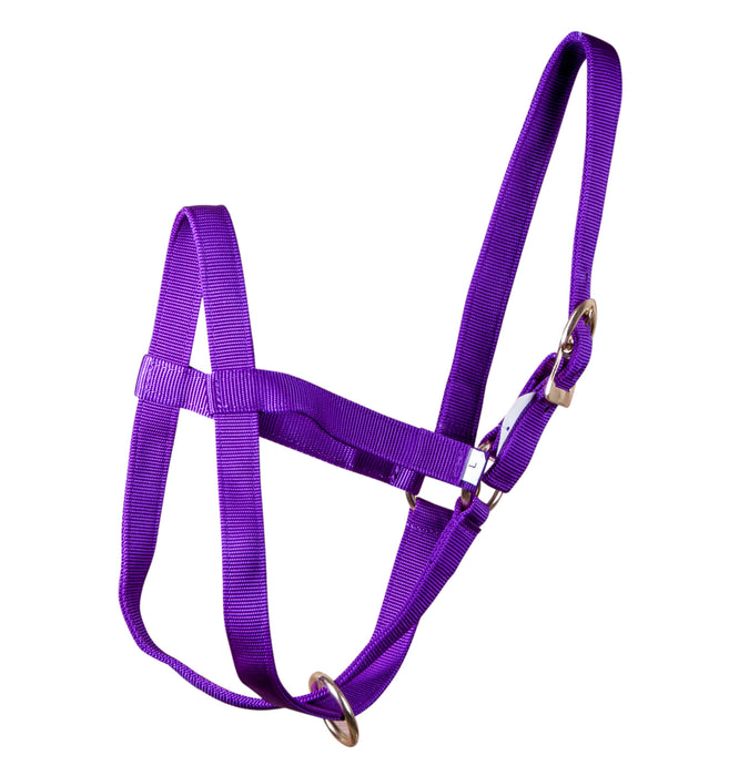 Nylon Calf Halter, (250-450 lb) - Purple  