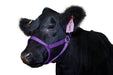 Nylon Cow Halter - Yearling (450-750 lb) - Purple  