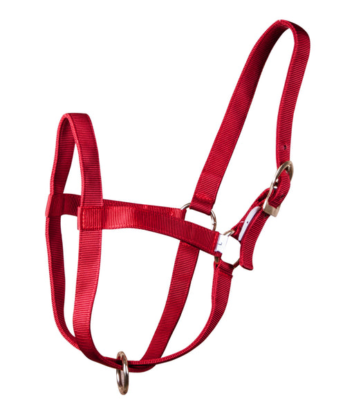 Nylon Cow Halter - Large (750-1000 lb) - Red  