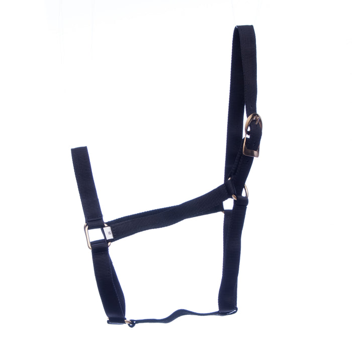 Jeffers Turnout Nylon Halter, 2-yr old (600-900 lb) - Black  