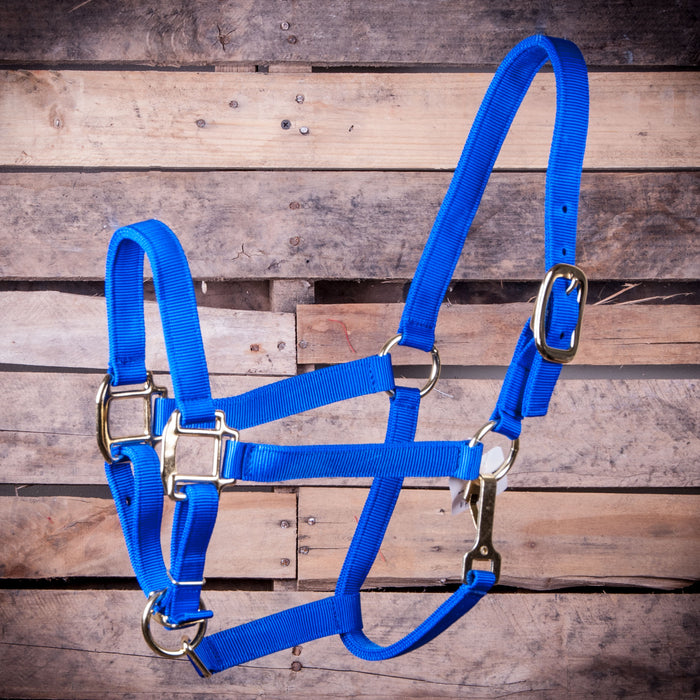 Adjustable Halter with Throat Snap, Arabian (500-800 lb) - Royal Blue  