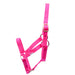 Jeffers Mini Horse Nylon Halter - Hot Pink  