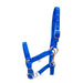 3/4" Adjustable Nylon Miniature Halter - Royal Blue  