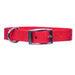 5/8" Nylon Dog Collar, 18"L - Apple  