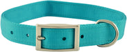 1" Nylon Dog Collar, 26"L - Turquoise  