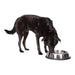 Stainless Steel Dog Bowl - Jeffers - 