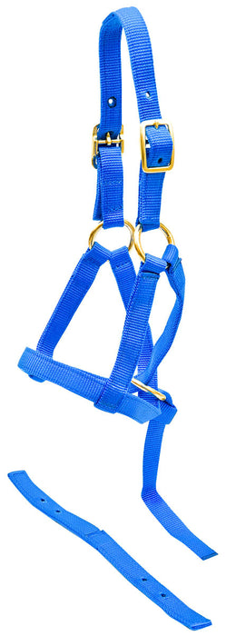 Jeffers Nylon "Grow With Me" Weanling Halter, 3/4" - Royal Blue  