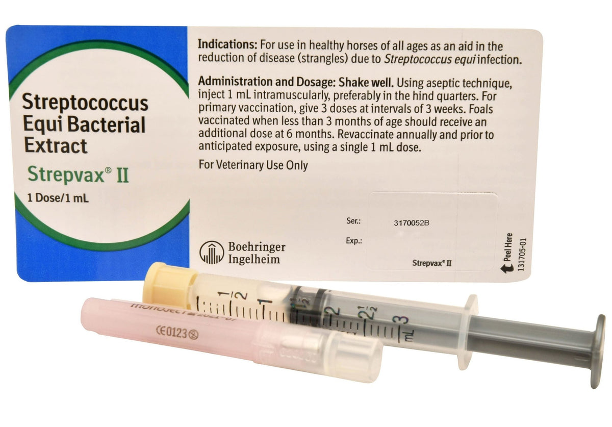 Strepvax II Equine Strangles Vaccine: Protect Your Horses — Jeffers